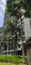Blk 12A MARSILING LANE (Woodlands), HDB 4 Rooms #219932911